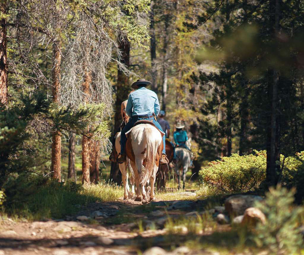 People riding horses down a trail